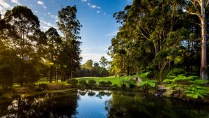 Master builders golf at Pymble Golf Club for construction industry networking