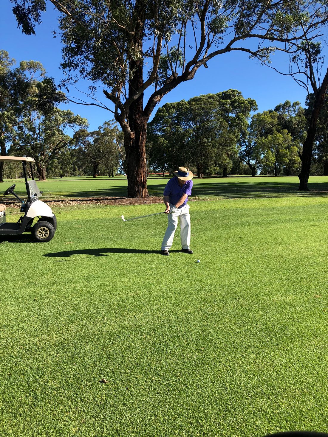 Captain's Report Concord Golf Club Master Builders & Exchange Golf